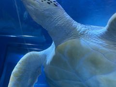 -太平洋海底世界