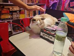 -游人馆·桌游狼人杀团建馆(人广书城店)
