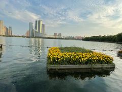 -天鹅湖体育公园