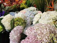-双季花艺园艺市场(浦东店)
