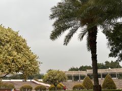 -白鹭洲公园