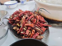 -蘑统田下·野生菌火锅