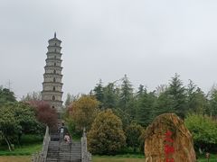 -祥源·阜阳生态乐园