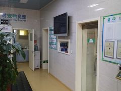 -瑞派天宁宠物医院·猫科·异宠中心