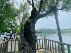 -承德避暑山庄景区