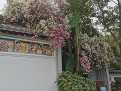 -深圳国际园林花卉博览园