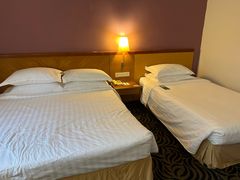-新加坡富丽华河畔大酒店(SG Clean)