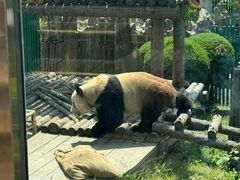 -大连森林动物园