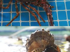 -三亚火车头万人海鲜广场