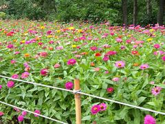 -沈阳森林动物园