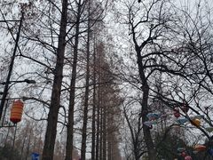 -1912街区