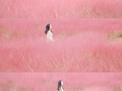 -汉长安城未央宫国家考古遗址公园