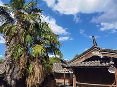 -田德能咖啡博物馆