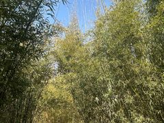 -木兰水镇旅游景区
