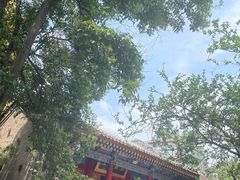 -西安青龙寺遗址景区