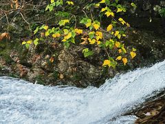 -宁波五龙潭景区