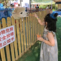 -萌宠亲子动物乐园(槐房万达店)