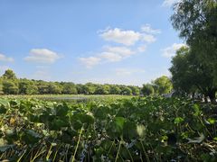 -长春市南湖公园