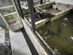 -陈大锅·岳阳鱼馆·地道岳阳菜(美食街店)