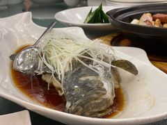 东星斑-海景壹号大酒店(滨湖店)