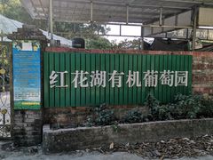-红花湖景区