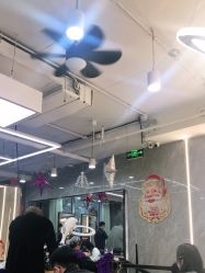 -Tipo Hair salon（明星）店