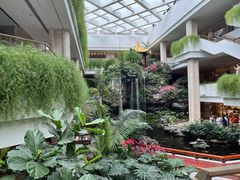 -广州白天鹅宾馆