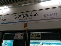 -东方体育中心(地铁站)