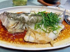 -至潮餐厅精致粤菜·活鲈鱼·走地鸡(珠江新城店)