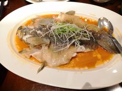 -彩丰楼·中餐厅(国家会展中心上海洲际店)