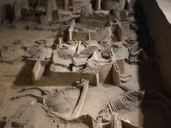 -洛阳周王城天子驾六博物馆