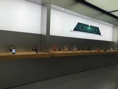 -Apple 零售店(Canton Road)