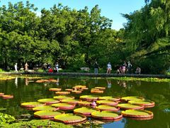 -国家植物园南园