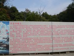 -云碧峰国家森林公园