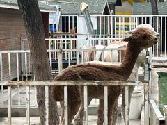 -蓝地时尚庄园(北京清河营地铁站店)