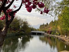 -黑龙潭公园