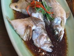 -新白鹿餐厅(城西银泰城店)