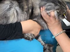 -宠颐生中康贝怡动物医院