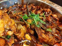 -黄记煌三汁焖锅(顺义华联店)