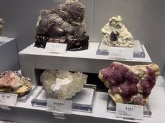 -湖南省地质博物馆