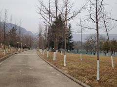 -黄河小浪底水利枢纽风景区