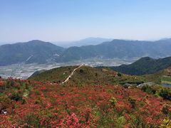 -瑞安圣井山景区
