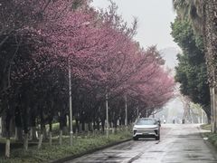 -四川大学(江安校区)