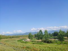 -洨河生态公园