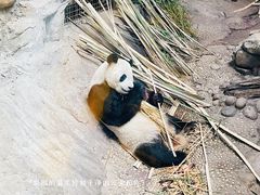 -北京动物园