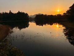 -长广溪湿地公园