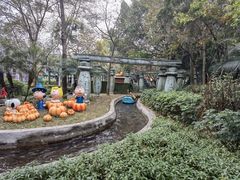 -史努比缤纷世界