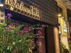 -Night Breeze晚风