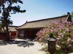 -五台山风景名胜区