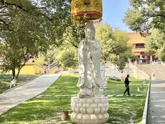 -太子山公园(园东路)